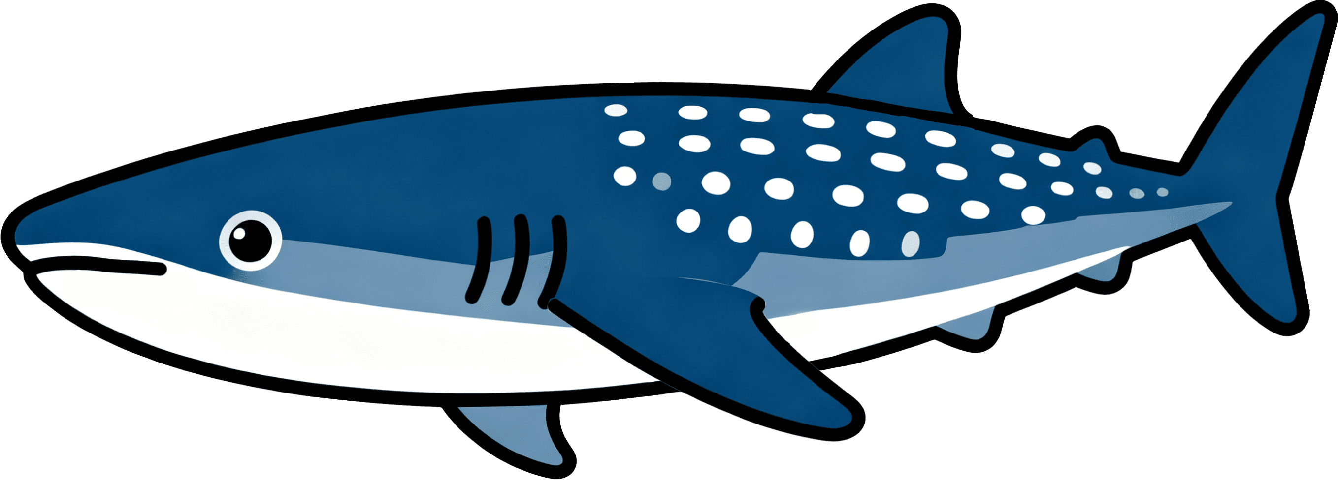 Whaleshark